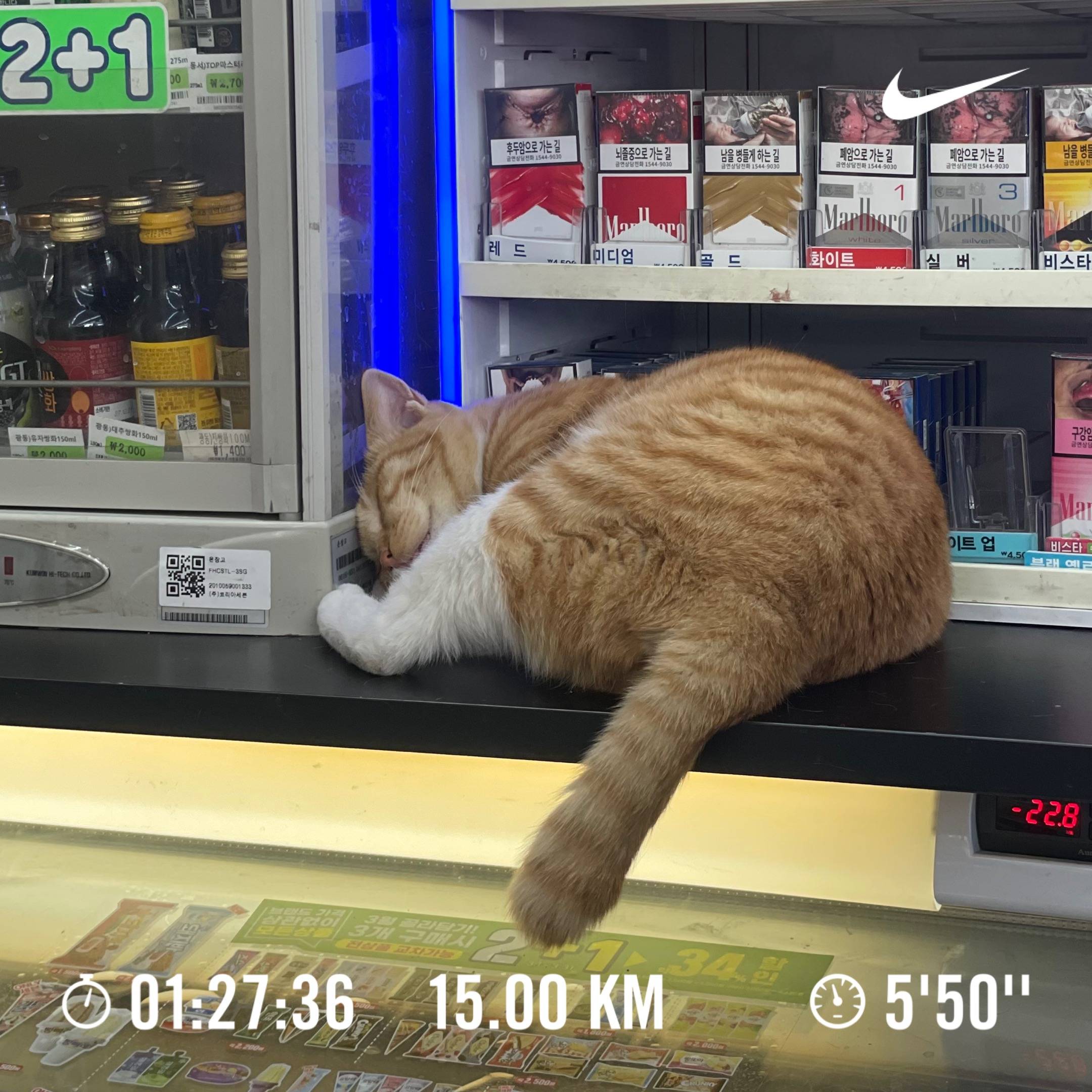 run image