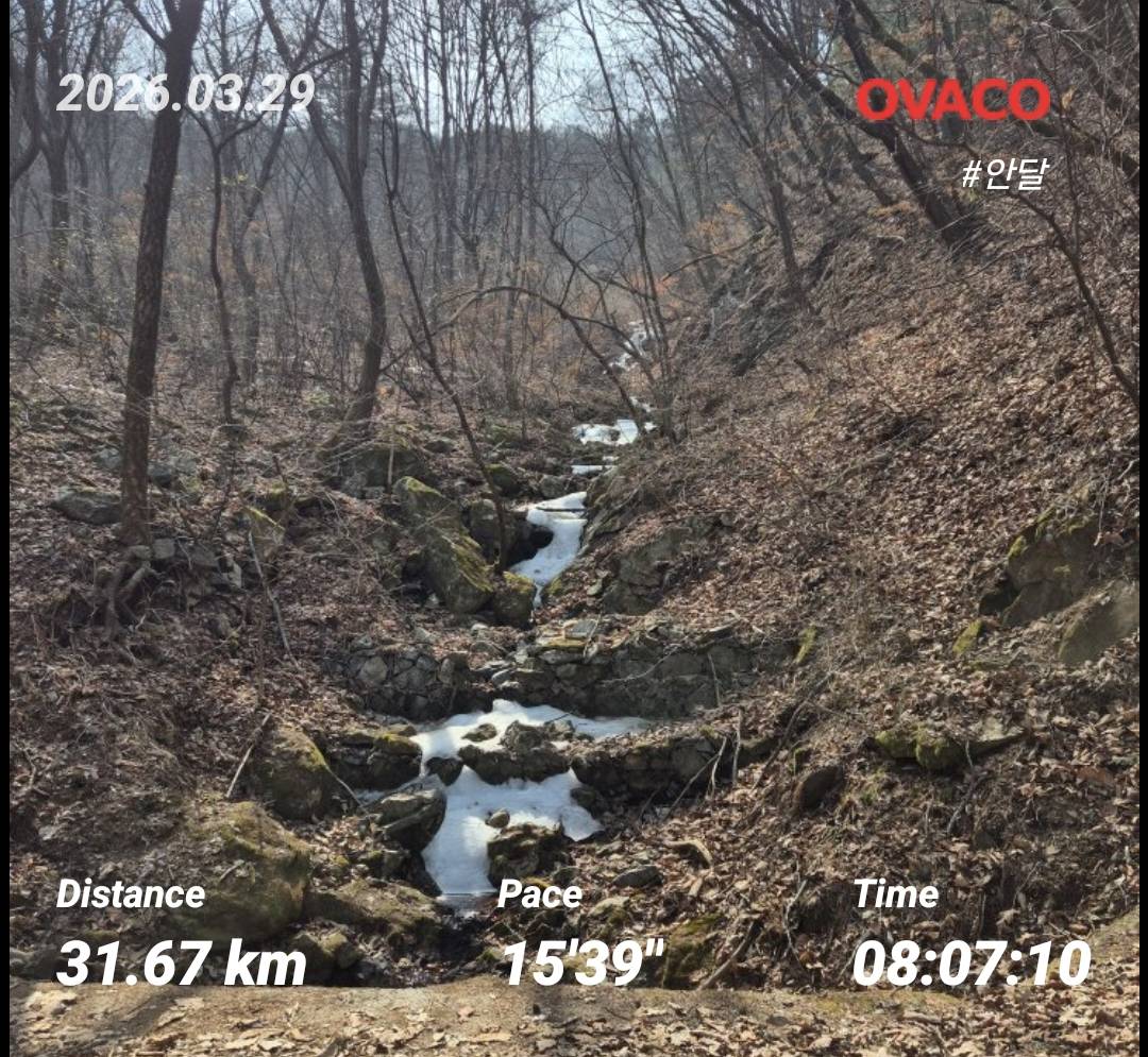 run image