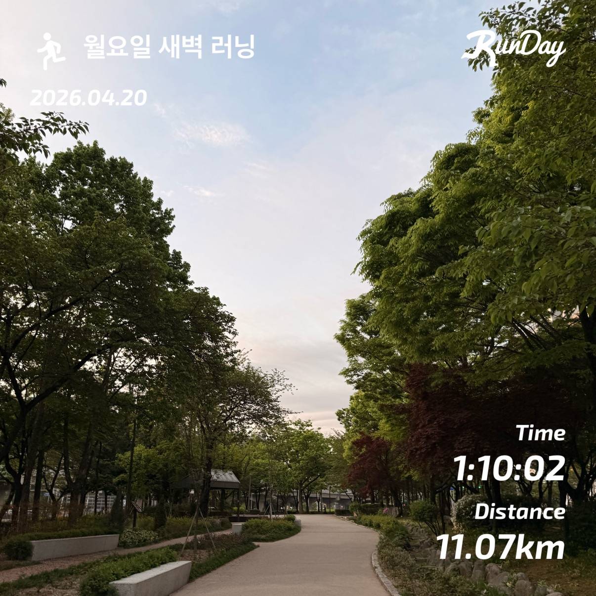 run image