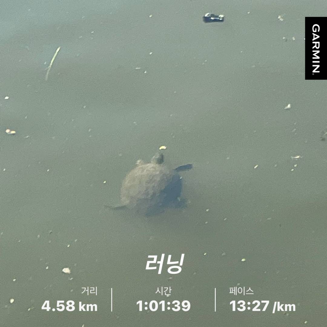 run image